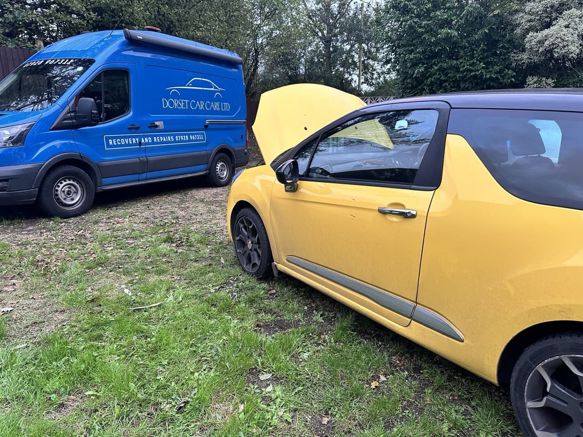 Mechanic working on a car